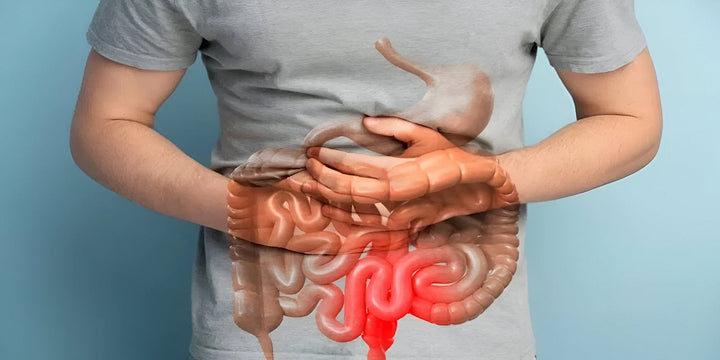 The Ayurvedic Improve Digestion Supplement You Need